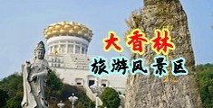 黄片同事老师中国浙江-绍兴大香林旅游风景区
